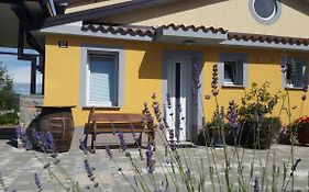 Apartma Brnistra Ginestra